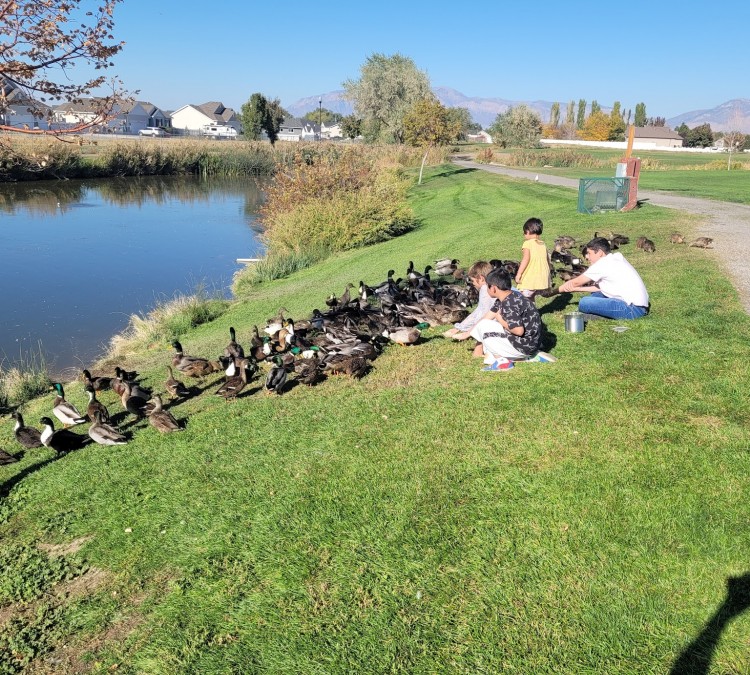 Duck Park/fishing (Clearfield,&nbspUT)
